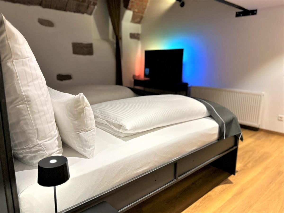 פרייבורג Historical Luxury Homes - Luxus Familien Suite מראה חיצוני תמונה