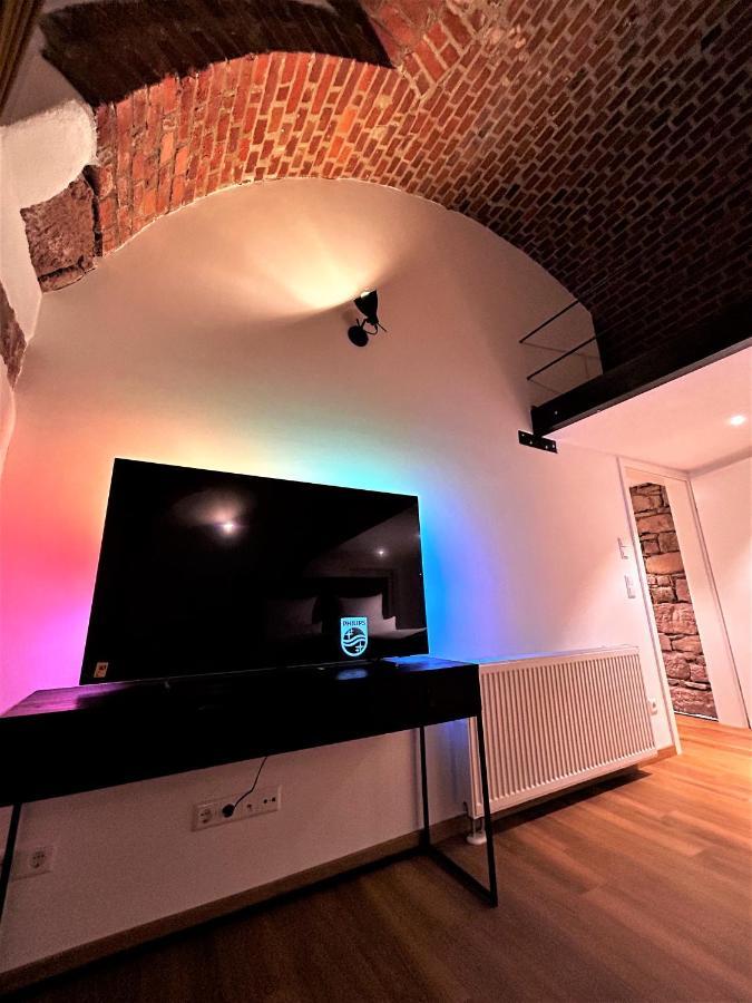פרייבורג Historical Luxury Homes - Luxus Familien Suite מראה חיצוני תמונה