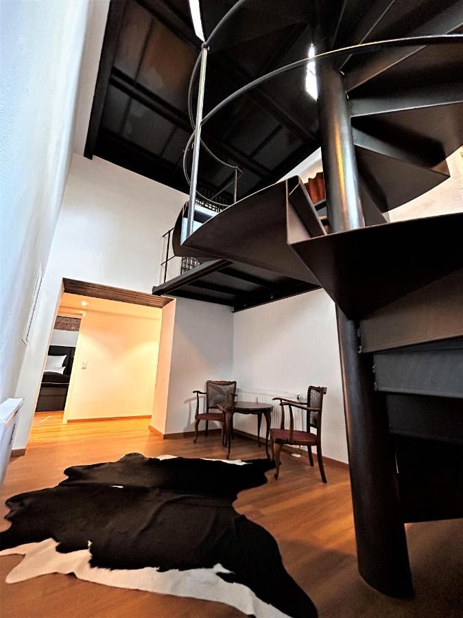 פרייבורג Historical Luxury Homes - Luxus Familien Suite מראה חיצוני תמונה